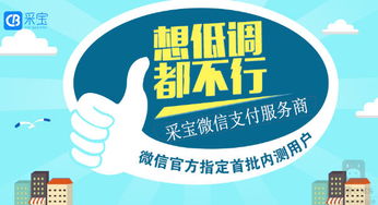 微信支付下線服務商采寶支付服務商代理的定義及其在信息技術咨詢服務中的作用
