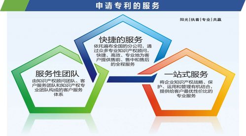 專利咨詢與知識(shí)產(chǎn)權(quán)布局 創(chuàng)新之路的護(hù)航指南